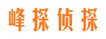 铜官山市婚外情调查